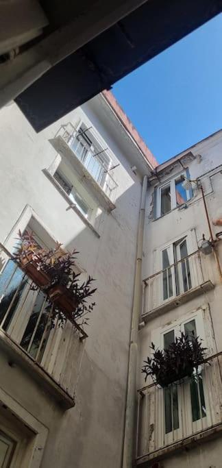 Modern Hospitality Naples Exclusive Stay 외부 사진